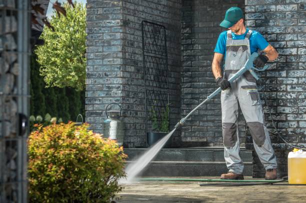 Best Rust Removal  in Percy, IL