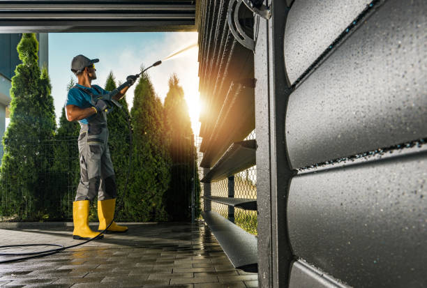 Boat and Dock Cleaning in Percy, IL